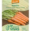 sementes-vivas-cenoura-carrot-rodelika