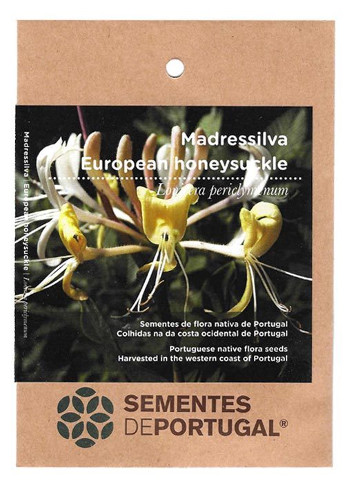 madressilva-sementes-portugal