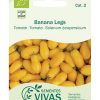 sementes-vivas-tomate-banana-legs